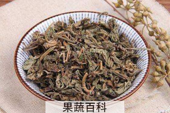 苦菜茶如何做 苦菜茶的制作方法