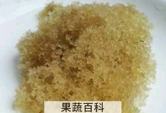 竹燕窝怎么清洗 竹燕窝的清洗方法技巧