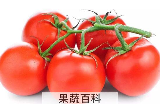 吃什么水果最能减肥 吃什么水果减肥最有效