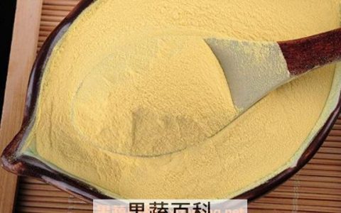 破壁松花粉片的功效与作用