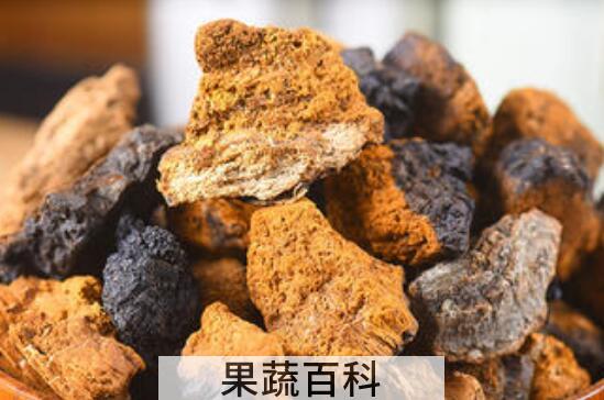 白桦茸的作用和功效 白桦茸的食用方法