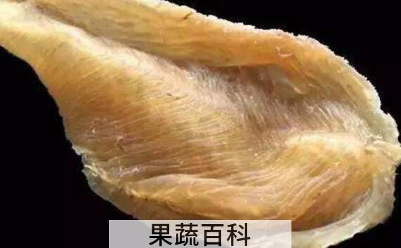 蜘蛛胶的功效与禁忌