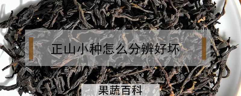 正山小种怎么分辨好坏