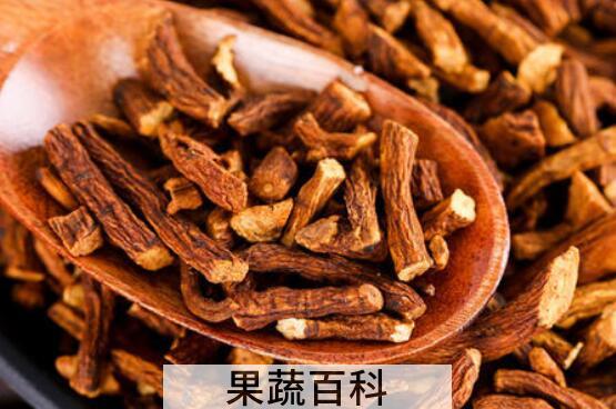 蒲公英根茶的制作方法窍门