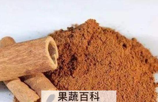 肉桂粉怎么吃 肉桂粉的食用方法