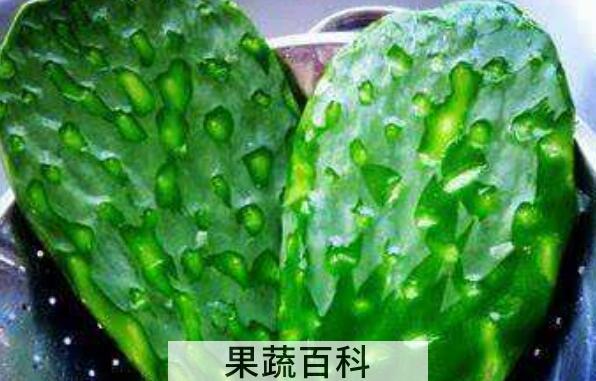 仙人掌外敷的作用与功效