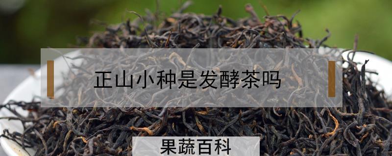 正山小种是发酵茶吗