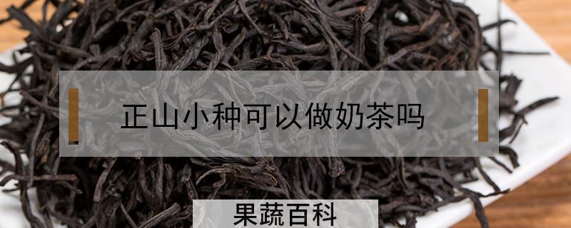 正山小种可以做奶茶吗