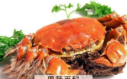 螃蟹死了还能吃吗 吃死螃蟹的危害与副作用