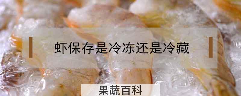 虾保存是冷冻还是冷藏