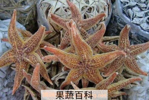 干海星泡酒方法和功效