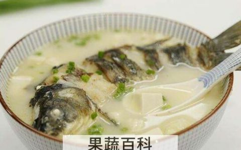 女人喝鲫鱼汤的好处 什么人不能喝鲫鱼汤
