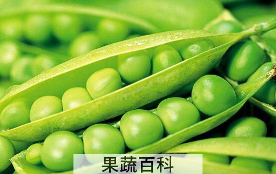 什么人不能吃豌豆 吃豌豆的禁忌有哪些
