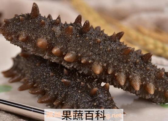 即食海参怎么吃 即食海参最简单的吃法