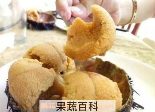 新鲜的海胆怎么处理 海胆怎么去内脏