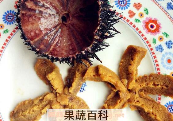 新鲜的海胆怎么处理 海胆怎么去内脏