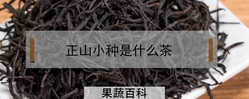 正山小种是什么茶