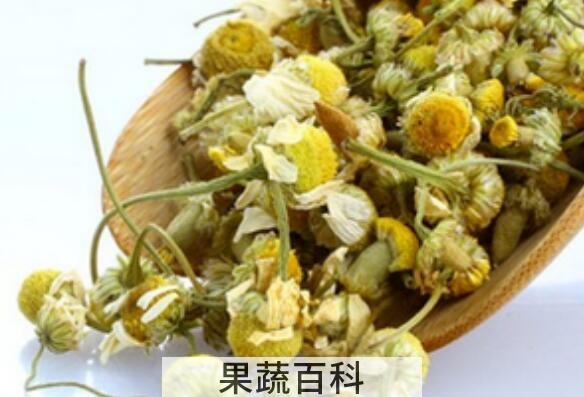 洋甘菊花泡水喝的功效与作用