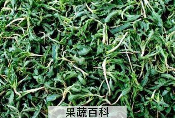 炒苦菜茶的功效与作用