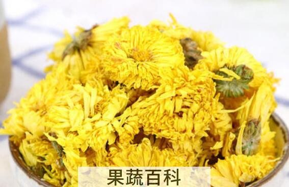 怀菊花的功效与禁忌