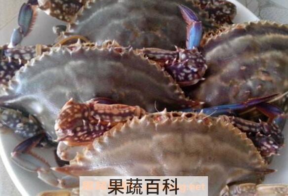 清蒸螃蟹如何清洗 做清蒸螃蟹的注意事项