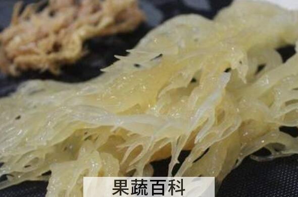 海燕窝的功效与作用