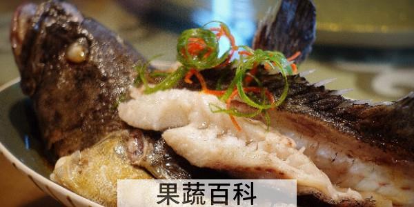 龙趸喜欢吃什么饵