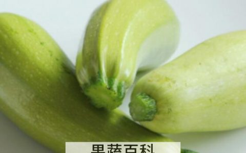 菜瓜和西葫芦怎么区分