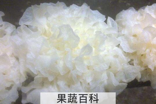鲜银耳的吃法与禁忌