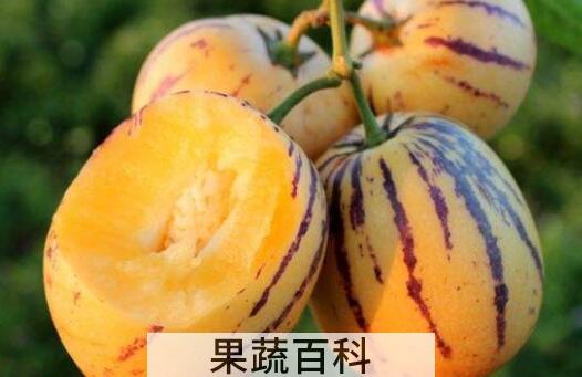 吃人参果的好处和禁忌事项
