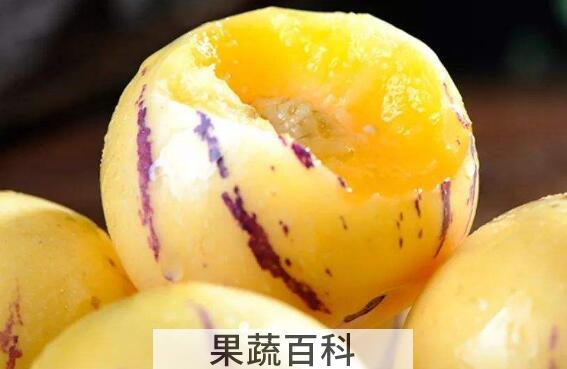 吃人参果的好处和禁忌事项