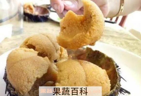 海胆怎么吃 海胆的吃法大全