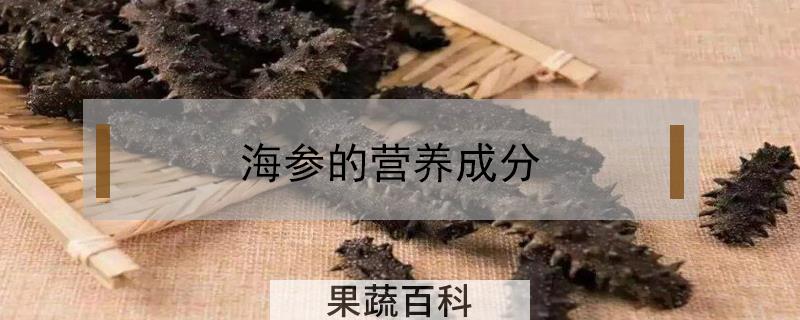 海参的营养成分