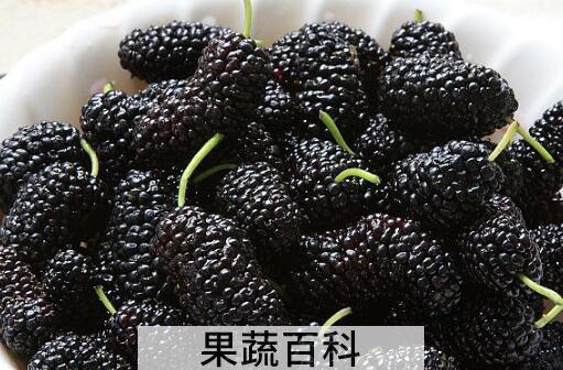 桑葚能多吃吗 吃桑葚的注意事项
