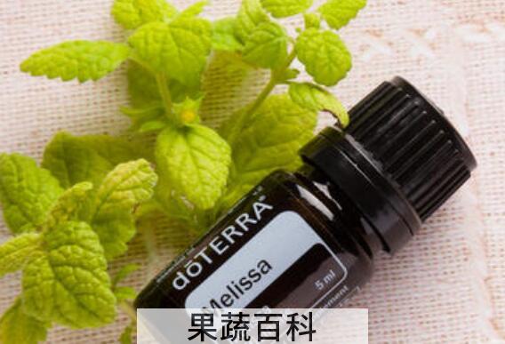 香蜂草精油的功效与使用方法