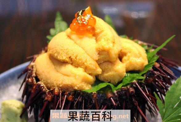 活海胆怎么处理 活海胆怎么杀