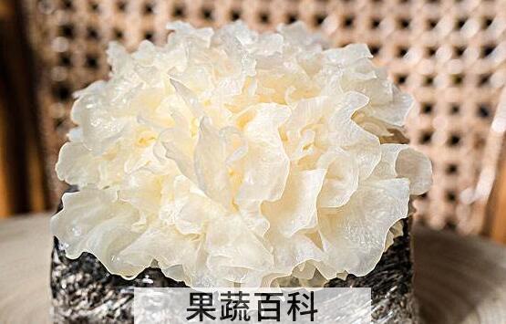 新鲜银耳怎么处理去毒 吃鲜活银耳注意事项