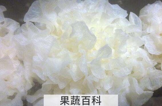 新鲜银耳怎么处理去毒 吃鲜活银耳注意事项