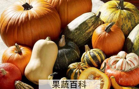 吃南瓜有什么好处 经常吃南瓜的好处与功效