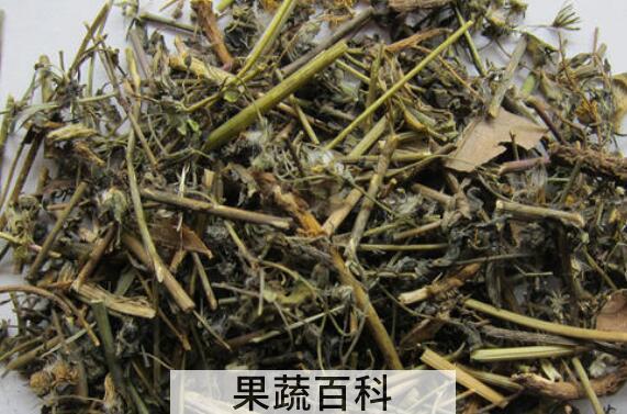苦碟子根的功效与作用