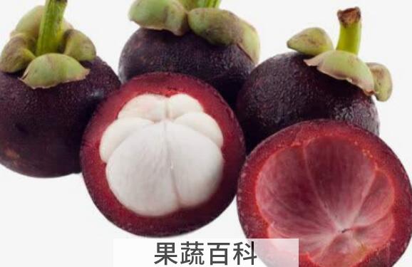 吃山竹皮有什么好处 山竹皮的功效与作用