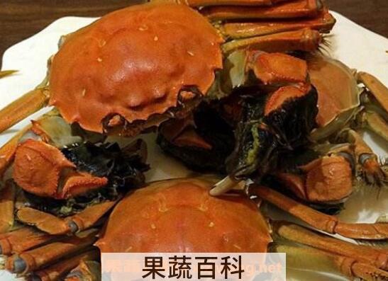 怎么煮螃蟹好吃又简单 好吃螃蟹的煮法技巧