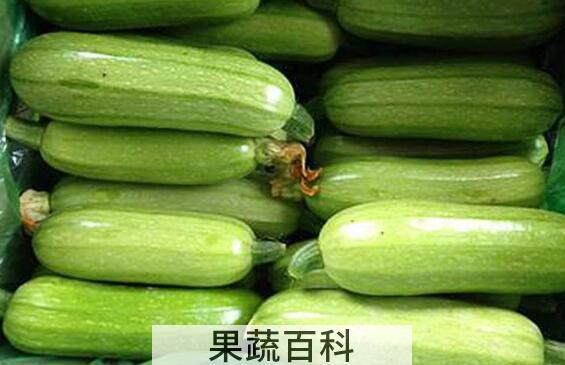 番瓜有什么功效与作用 吃番瓜的好处