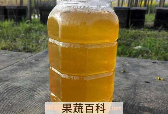 油菜花蜜的功效与作用 油菜花蜜的副作用