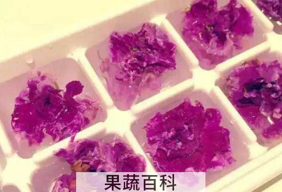 怎样自制新鲜玫瑰花水 玫瑰水的用法