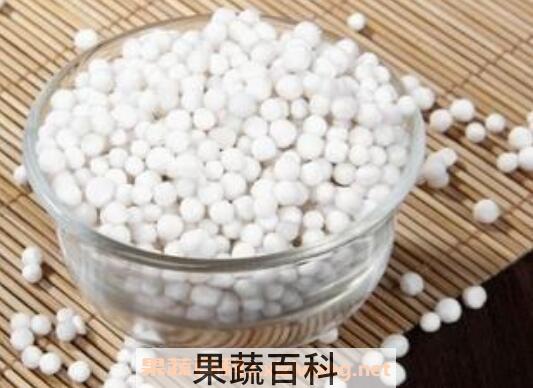 怎么煮西米 西米怎么煮又快又好