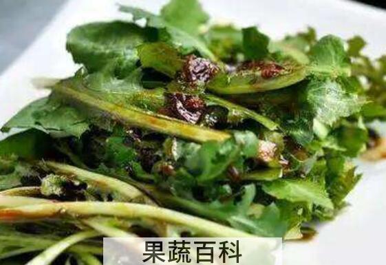 苦菜的正确吃法 苦菜怎么吃好