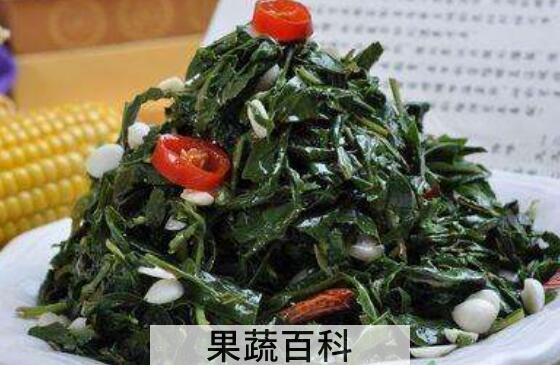 苦菜的正确吃法 苦菜怎么吃好