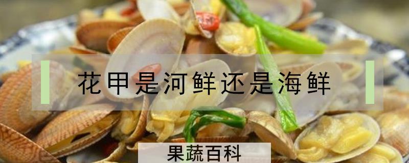 花甲是河鲜还是海鲜