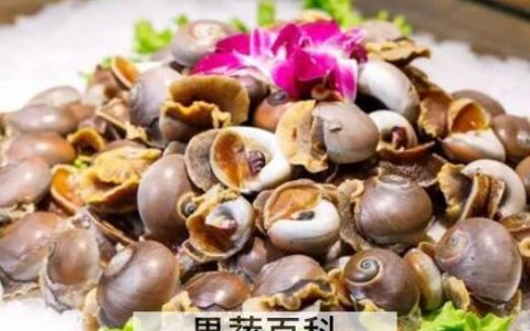 玉螺怎么吃好吃 玉螺的正确食用方法